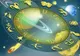 Horoscop 25 iulie. O zodie primeşte mai mulţi BANI decât se aşteaptă. A ta, oare? Veşti bune...