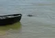 Descoperire terifiantă pe Dunăre. Ce au văzut marinarii de pe un bac în apă. L-au tras la mal și..