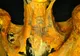 Top 10 cele mai șocante mumii descoperite de arheologi. Rămâi fără cuvinte când le vezi