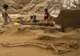 Descoperire de excepţie în sudul Israelului. Biblia va trebui reinterpretată