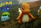 PokeDoctor, aplicaţia care îi va face pe fanii jocului să jubileze. Ce ştie ea să facă?