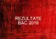 Rezultate BAC 2016. București vs Cluj vs Timiș vs Constanța. Unde au fost cele mai mari medii