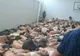Teroare în Turcia. Imagini greu de privit cu puciștii arestați de regimul Erdogan