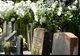 Piatră funerară în formă de iPhone, comercializată de o companie de servicii funerare din Rusia