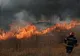 Incendiu de vegetație în Delta Văcărești din Capitală! Flăcările s-au întins pe 2.000 de metri VIDEO