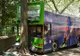 Accident teribil, la New York: un autobuz plin cu turişti a intrat într-un copac: 13 răniţi