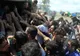 Ungaria aplică măsuri suplimentare antiimigraţie la frontierele cu Serbia şi Croaţia