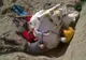Descoperire incredibilă în refugiul dinozaurilor din Montana: are 12 metri lungime și 6 înălțime