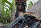 TRIBUL IZOLAT din Papua Noua Guinee care îşi păstrează morţii în casă, MUMIFICAŢI