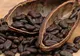 Ce se întâmplă dacă mesteci boabe de cacao, cel mai puternic antioxidant din lume
