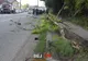 Accident cumplit în Dej. Un TIR a acroșat un autoturism 