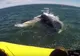 Au plecat în excursie cu barca, dar au fost speriaţi de moarte. Momentul şocant - FILMAT