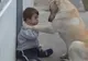 Cea mai iubitoare căţeluşă din lume. Gestul care-l face pe un copil cu sindrom Down s-o îmbrăţişeze
