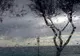 COD GALBEN de ploi, grindină şi vânt puternic. Unde este valabilă atenţionarea meteo