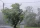 ALERTĂ METEO. Cod GALBEN de vijelii periculoase şi ninsoare. Ce zone sunt afectate UPDATE