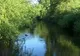 Cinci turişti au fost răniţi în Delta Dunării 
