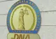 DNA: 18 lucrători de poliție DIPI, urmăriți penal