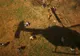 Tragedie aviatică în Nepal. Şapte persoane au murit