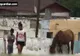Fața nevăzută a sărăciei din România. Povestea copilelor care se prostituează pentru bani