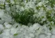 Informare METEO: ploi torenţiale, inundaţii şi căderi de grindină. Intră în vigoare astăzi