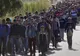 MAI, în alertă din cauza imigranților! Măsuri sporite de securitate la granița cu Serbia