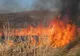 Stare de urgenţă în Bulgaria, din cauza unui incendiu de vegetaţie