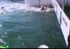 Scandal la Rio! O sportivă este acuzată că a vrut să-și înece adversara