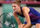 Irina Begu, eliminată în primul tur la Cincinnati