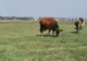 Descoperire uluitoare făcută de un bărbat, pe un izlaz din Vrancea. Au 2.400 de ani!