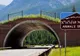 A fost construit primul pod peste o autostradă destinat animalelor! Acesta se află în Turcia