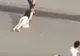 Atenţie, imagini şocante! Un bărbat târăşte de păr pe stradă în plină zi o femeie