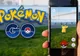 Cum văd parlamentarii jocul Pokemon Go: "Oameni care nu au altceva de făcut, n-au serviciu"