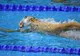 JO 2016. Robert Glinţă a câştigat seria în care a concurat, dar a ratat semifinalele la 200 m spate
