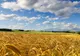Schimbarea la Faţă a Domnului. Ce să NU faci niciodată, pe 6 august 