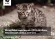 Min. Mediului, acuzat de ecologişti că vrea să permită împuşcarea a 1691 animale sălbatice