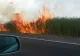 Incendiu de vegetație lângă Autostrada Bucureşti–Piteşti. Update