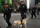Anunţul de ultimă oră făcut de MAE privind atentatul din New York 