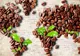 ALARMANT! Resursele globale de cafea sunt la final. Consumatorii sunt disperati