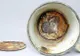 Ce secret ascundea CANA unui prizonier de la Auschwitz. Au stat acolo 70 de ani fără să ştie NIMENI!