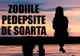 Acestea sunt ZODIILE PEDEPSITE DE SOARTĂ