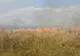Incendiu de proporţii în Rezervaţia Delta Dunării. 70 de hectare de vegetaţie, afectate