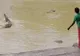O femeie a aruncat o piatră într-un crocodil de 4 metri! Reacţia animalului a ajuns virală 