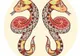 Cele mai geloase zodii. Furia lor nu cunoaşte limite!