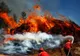 Incendiile de vegetaţie din Portugalia și Spania continuă să facă ravagii 