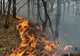 Incendiu devastator într-o staţiune din Spania: peste 1000 de oameni, evacuaţi