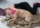 Emoţionant. A surprins în imagini ultima zi din viaţa câinelui său înainte să îl eutanasieze