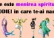 Care e menirea spirituală a zodiilor