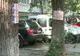 Plăcuţe de înmatriculare bătute în copaci, în sectorul 6 din Capitală. Motivul incredibil