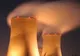 Iranul şi Rusia au început să construiască 2 noi reactoare nucleare la centrala de la Buchehr