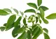 Așa îți reduci glicemia în mod natural